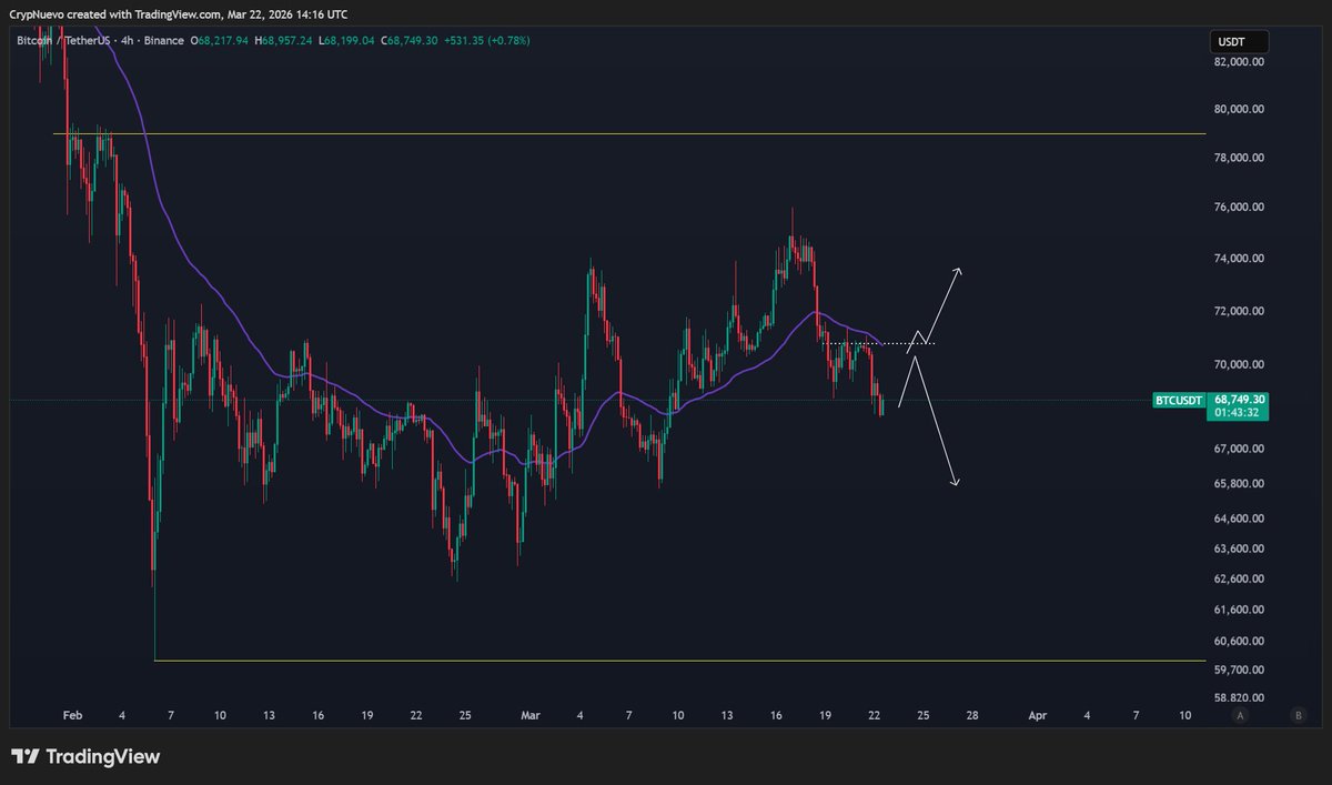 CrypNuevo 🔨 tweet media