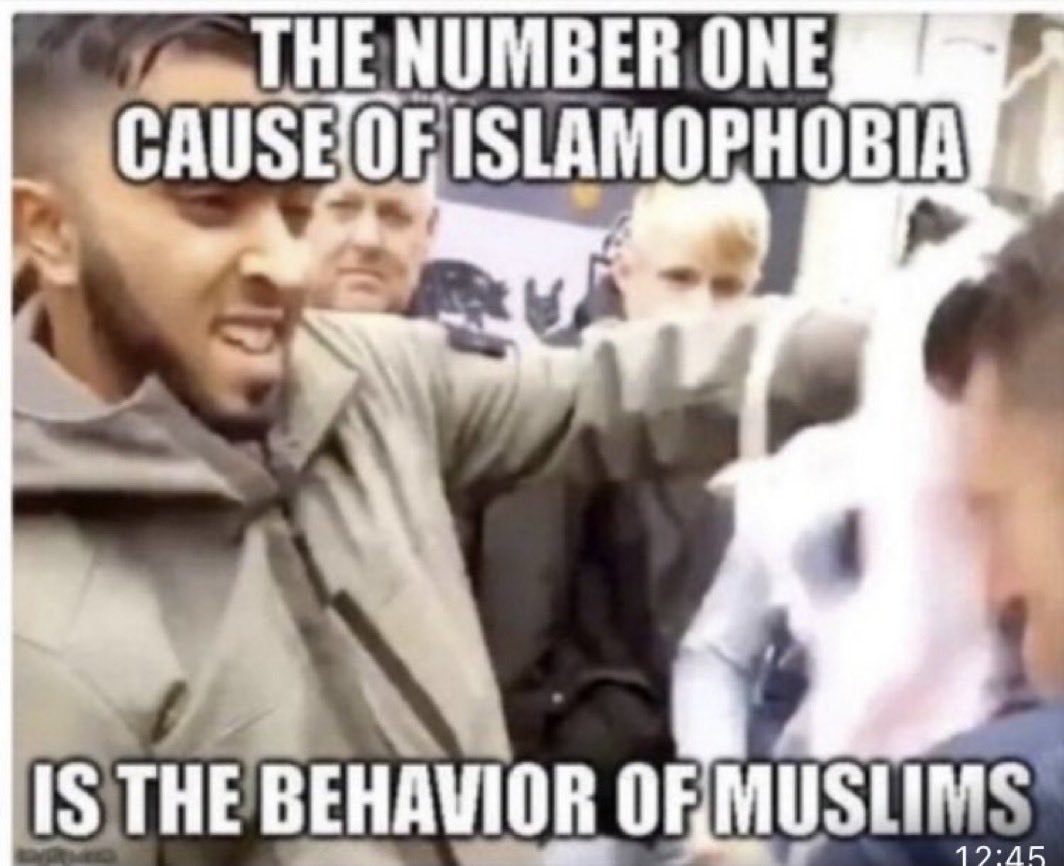 Matthew Payne tweet media