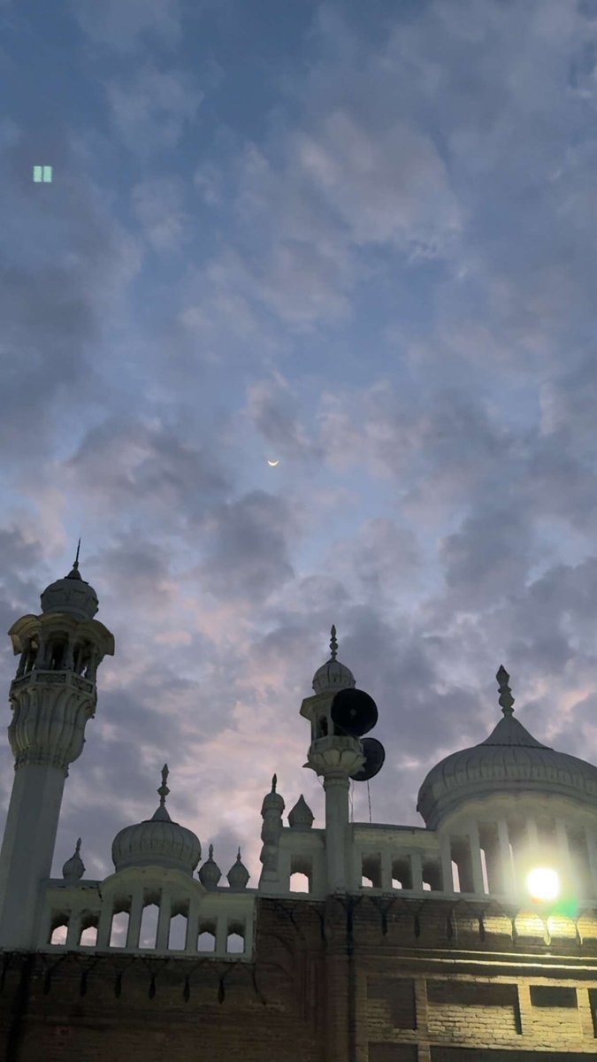 M🇵🇸 tweet media