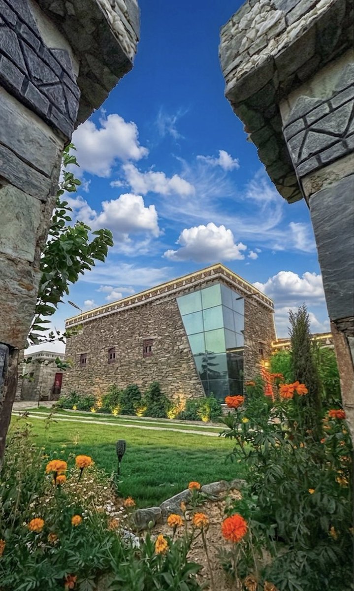 دار عوضة tweet media