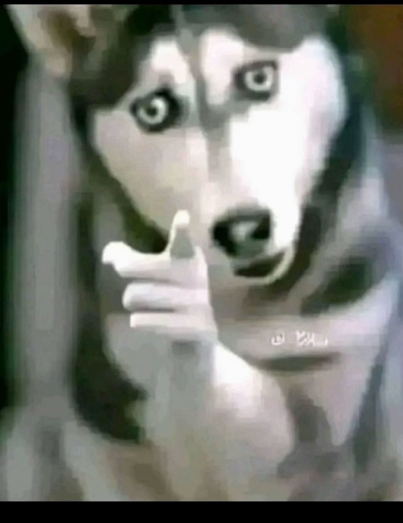 BigZig Trade 📈📉 tweet media