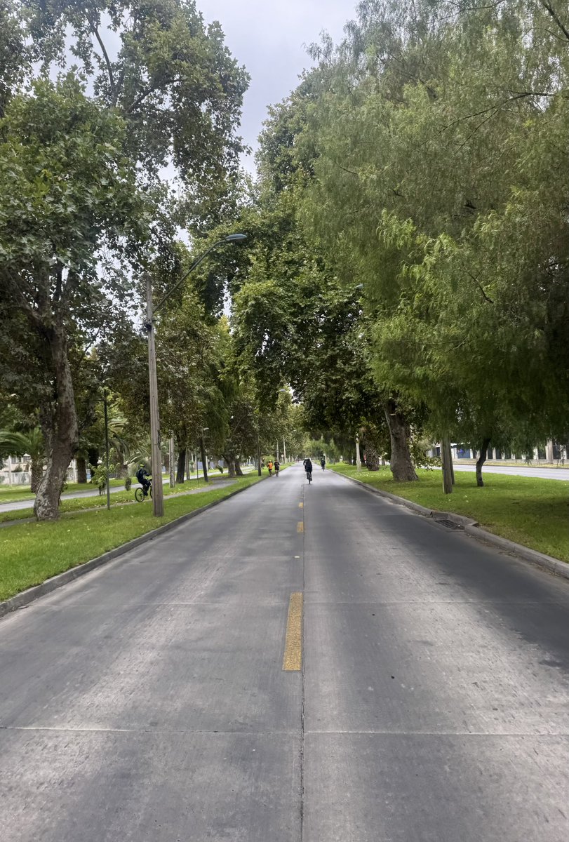 Tomás Vodanovic tweet media