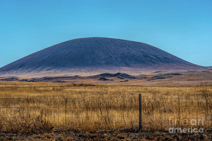 Diana Mary Sharpton tweet media