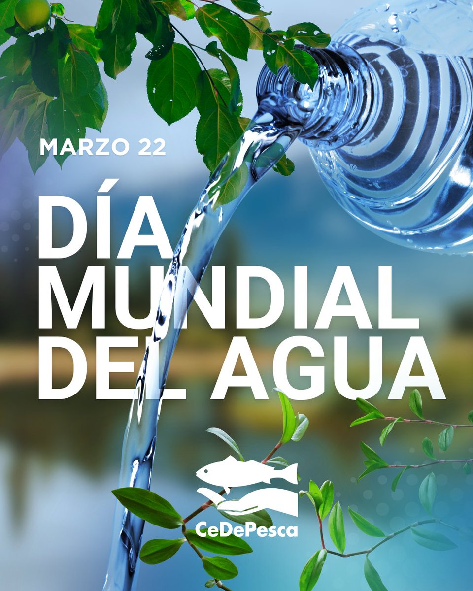 CeDePesca tweet media