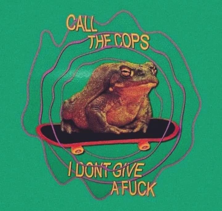 Minka Odysseus tweet media