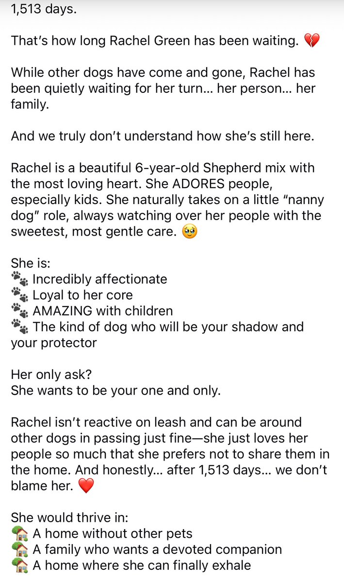 Proverbs 12:10 Animal Rescue tweet media