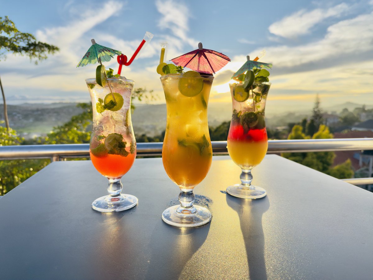 Hotel Noesis tweet media