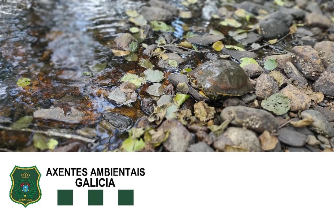 Aprafoga tweet media