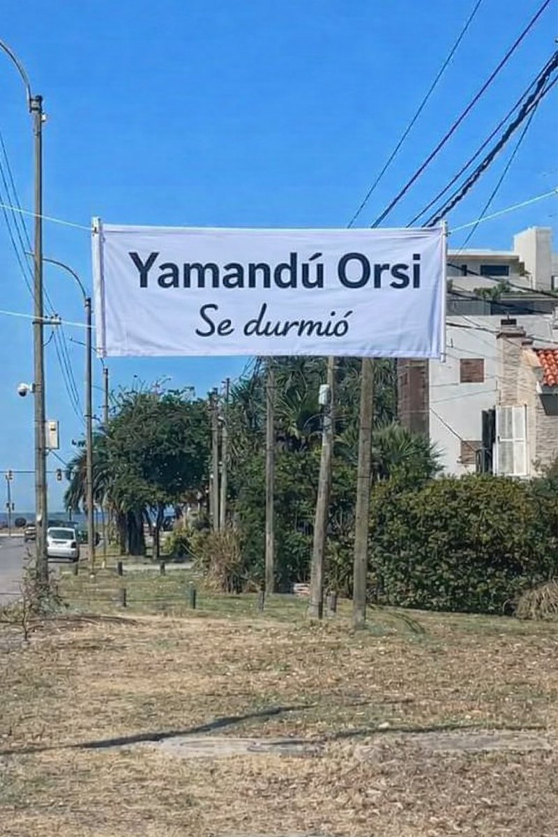 El Bagual bolso tweet media