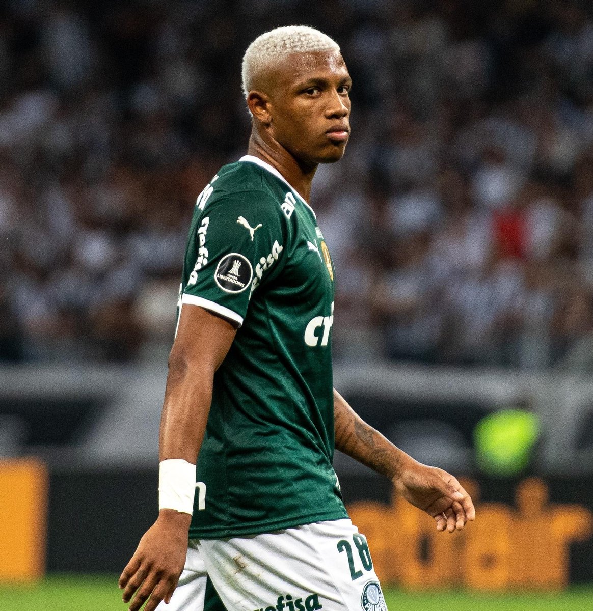 ALPA 🏆 tweet media