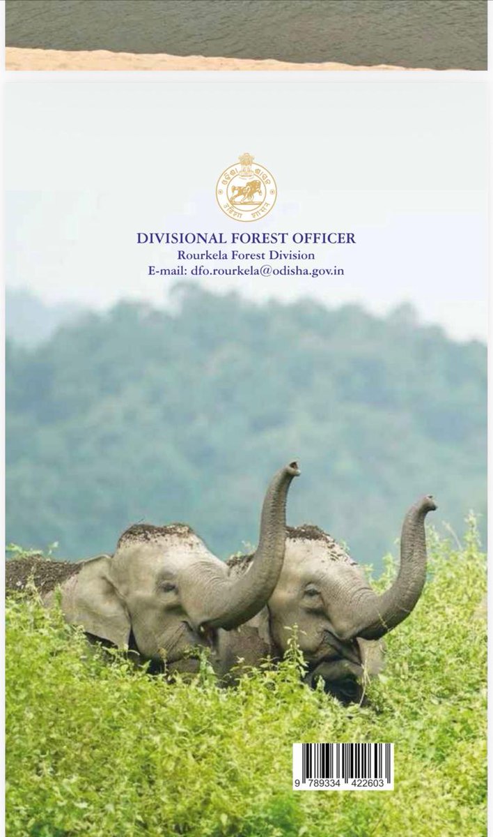 DFO Rourkela tweet media