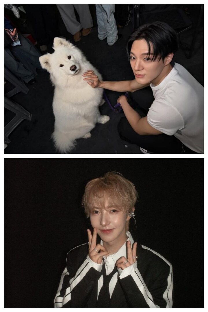 SEND MFS BACA LINK YA GES!! tweet media