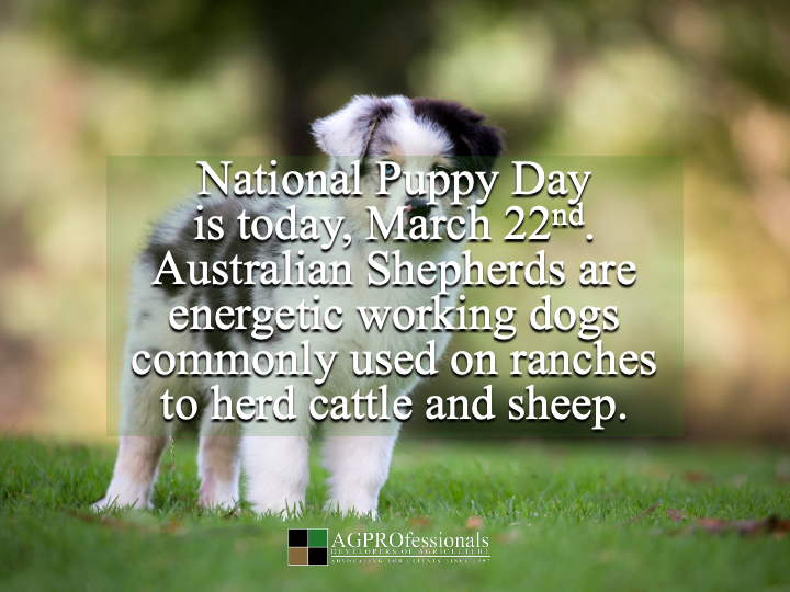 AGPROfessionals tweet media