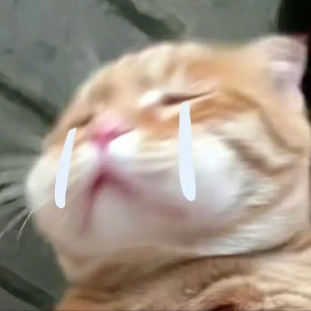 𝐊𝐫𝐢𝐭𝐭𝐢𝐧. tweet media