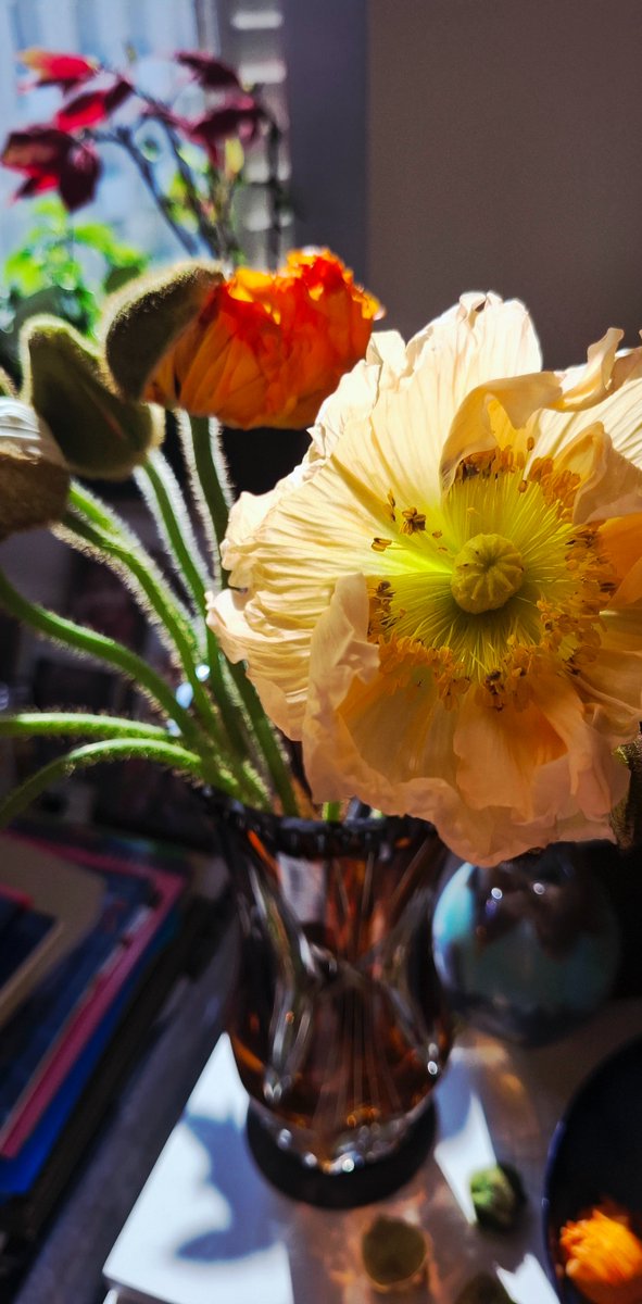 La page de Rita tweet media