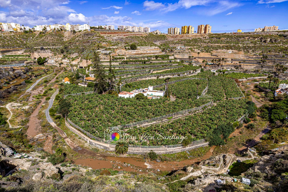 Iván León Santiago tweet media