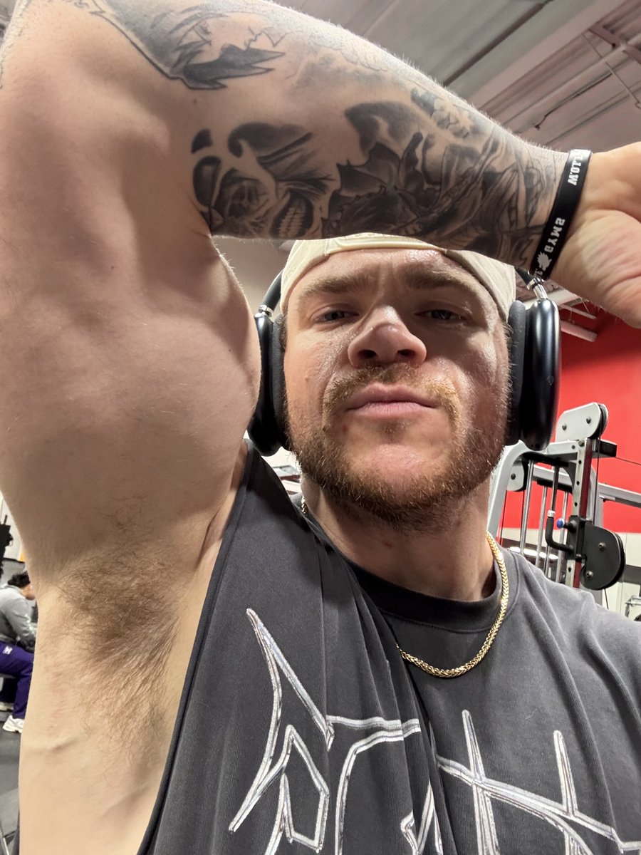 Alpha Apollo 28k tweet media