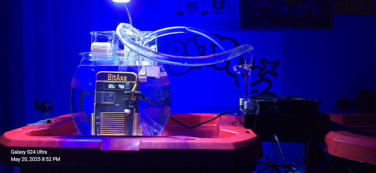 Documenting ₿itcoin 📄 tweet media