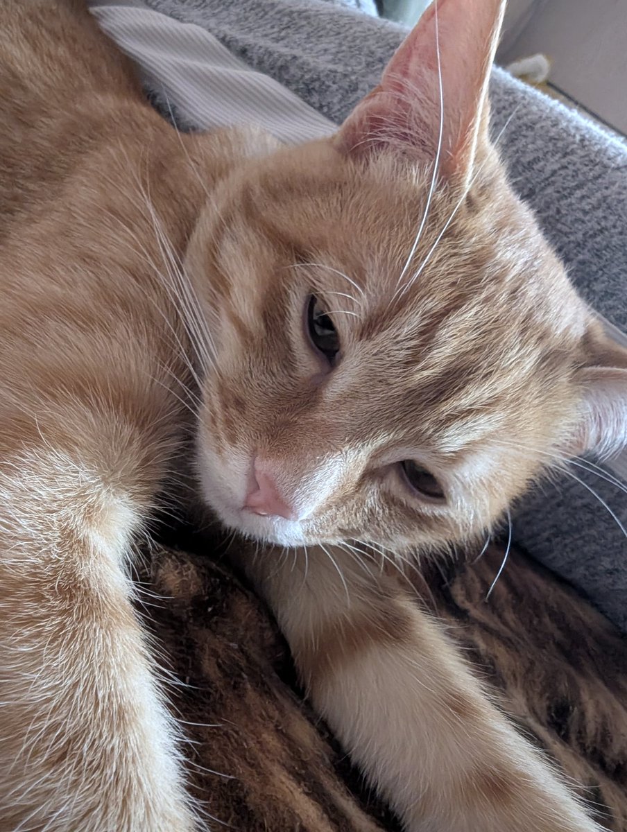 𝚜𝚊𝚗𝚢𝚊 tweet media