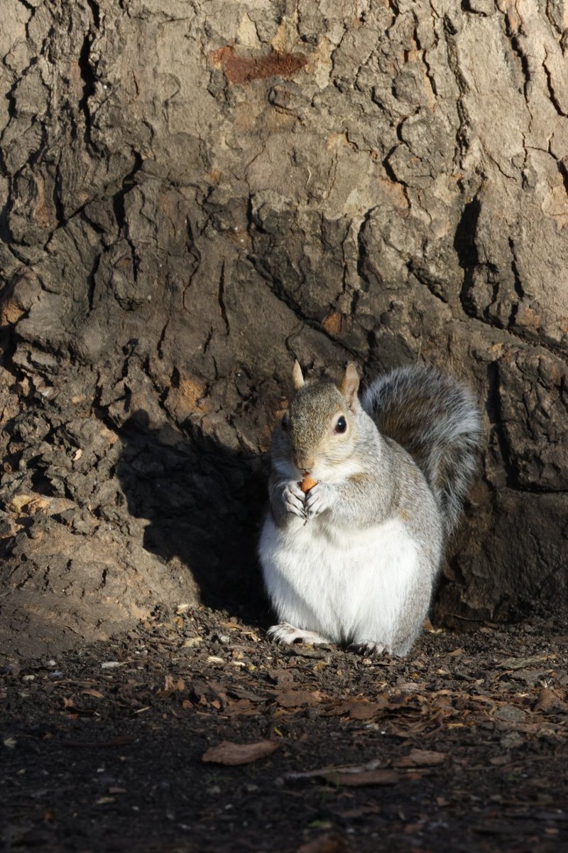 Liam Broatch tweet media