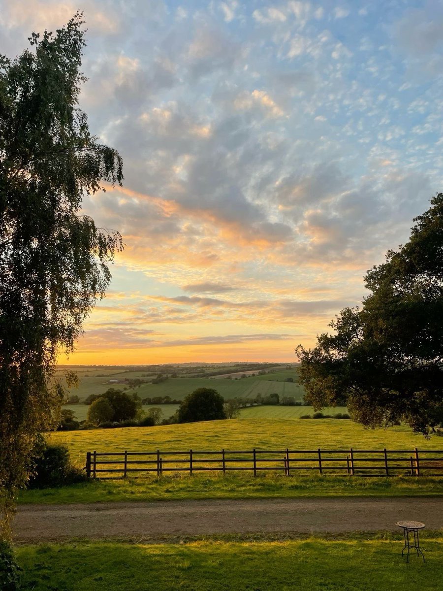 𝕵𝖆𝖓𝖊 tweet media