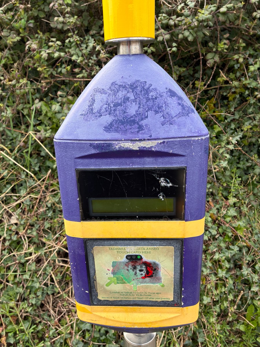 Pat Kelly tweet media