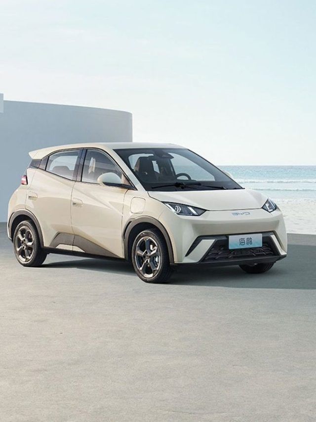 Economia Brutal tweet media