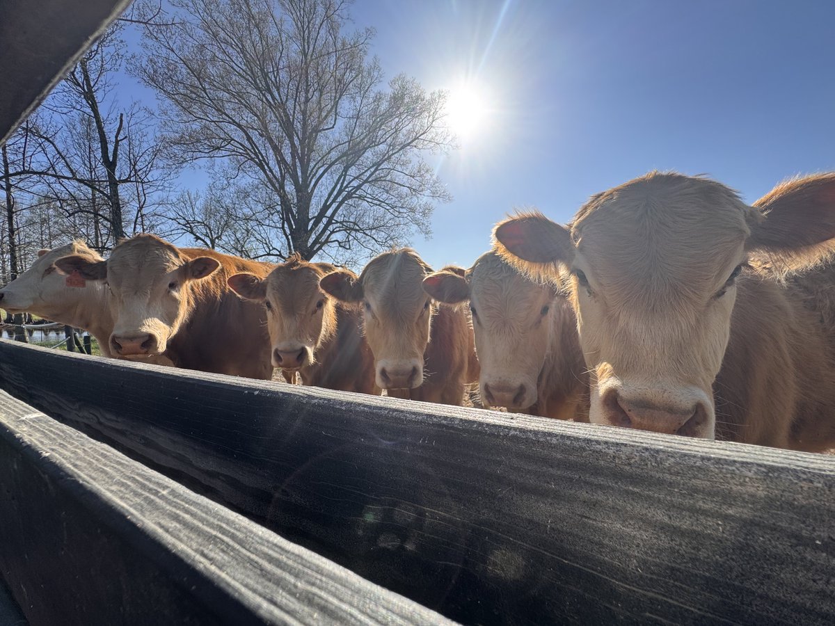 Concrete tweet media