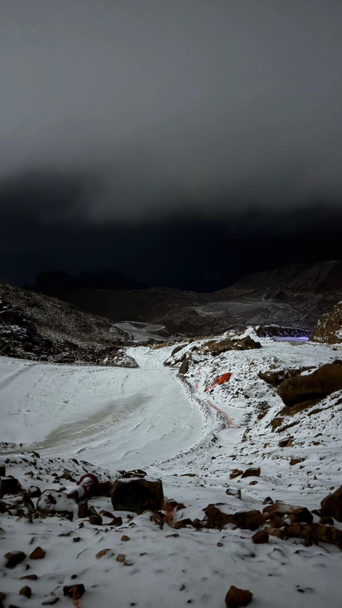  فالكون tweet media