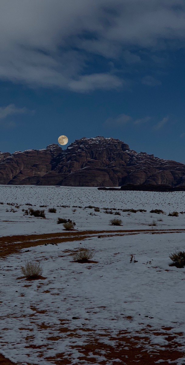  فالكون tweet media