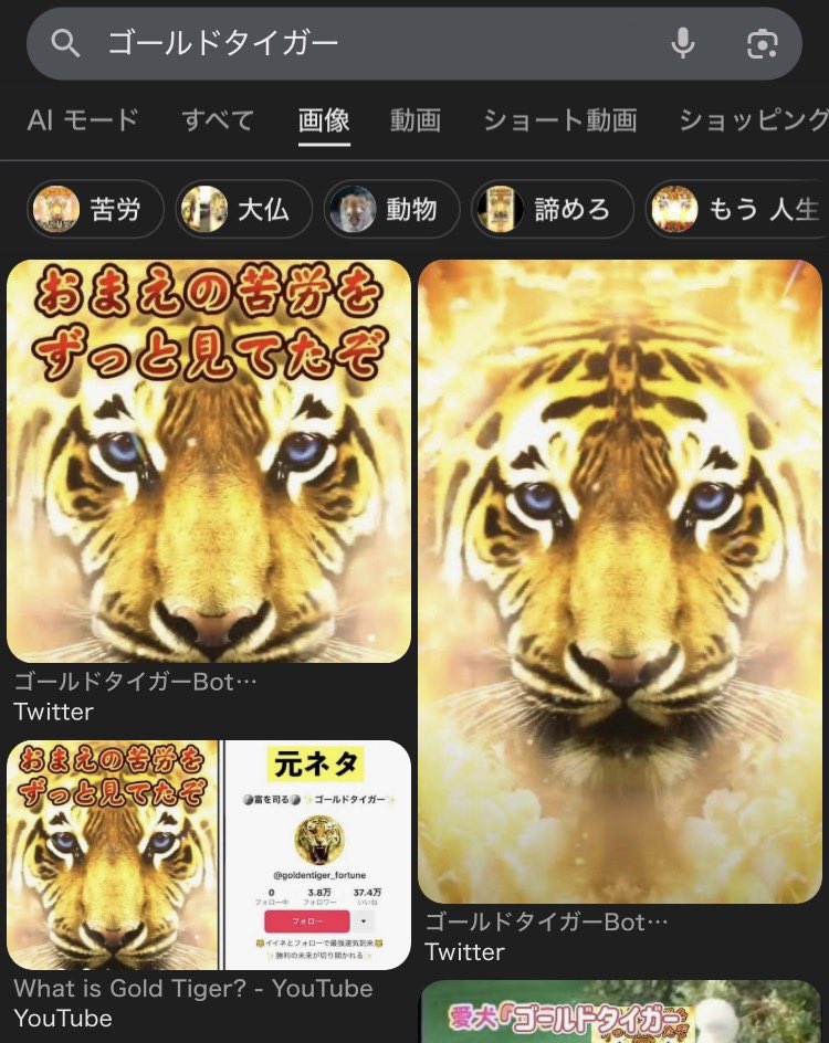 ほんとごめんぽこポケのライコウがゴールドタイガーすぎる 「おまえの