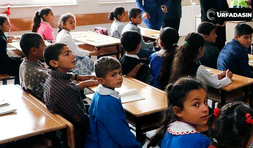 Urfadasın tweet media