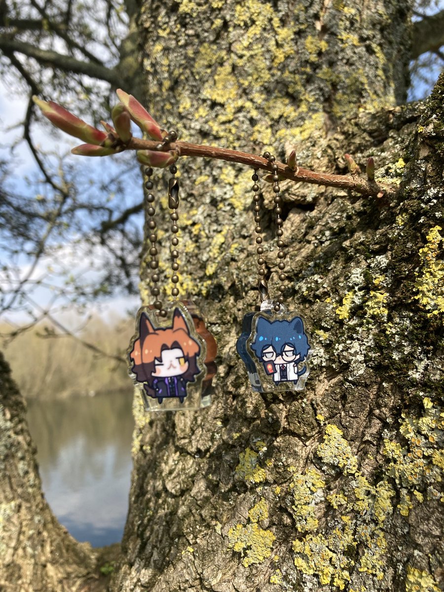 go my scarab tweet media