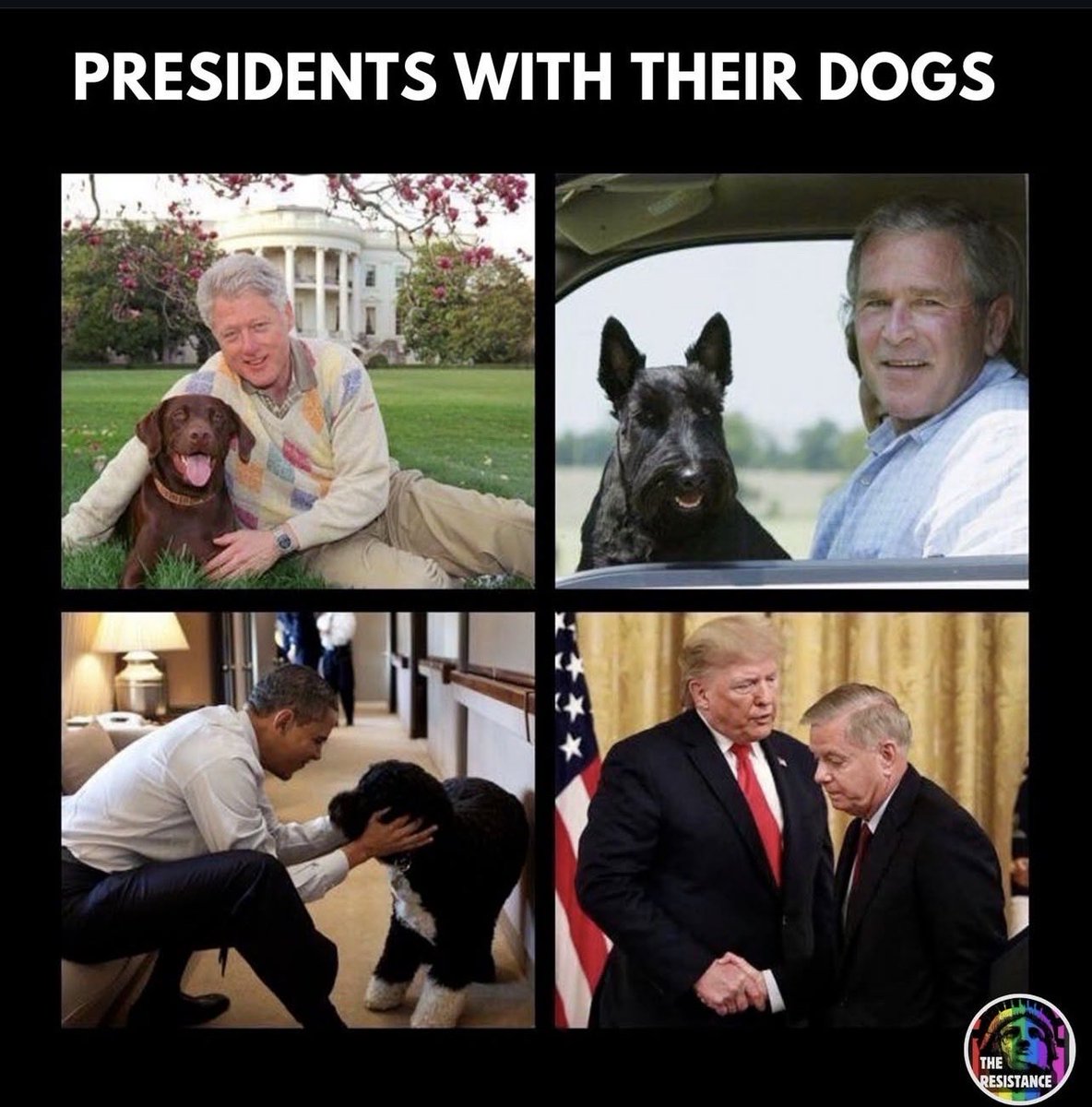 Williken tweet media