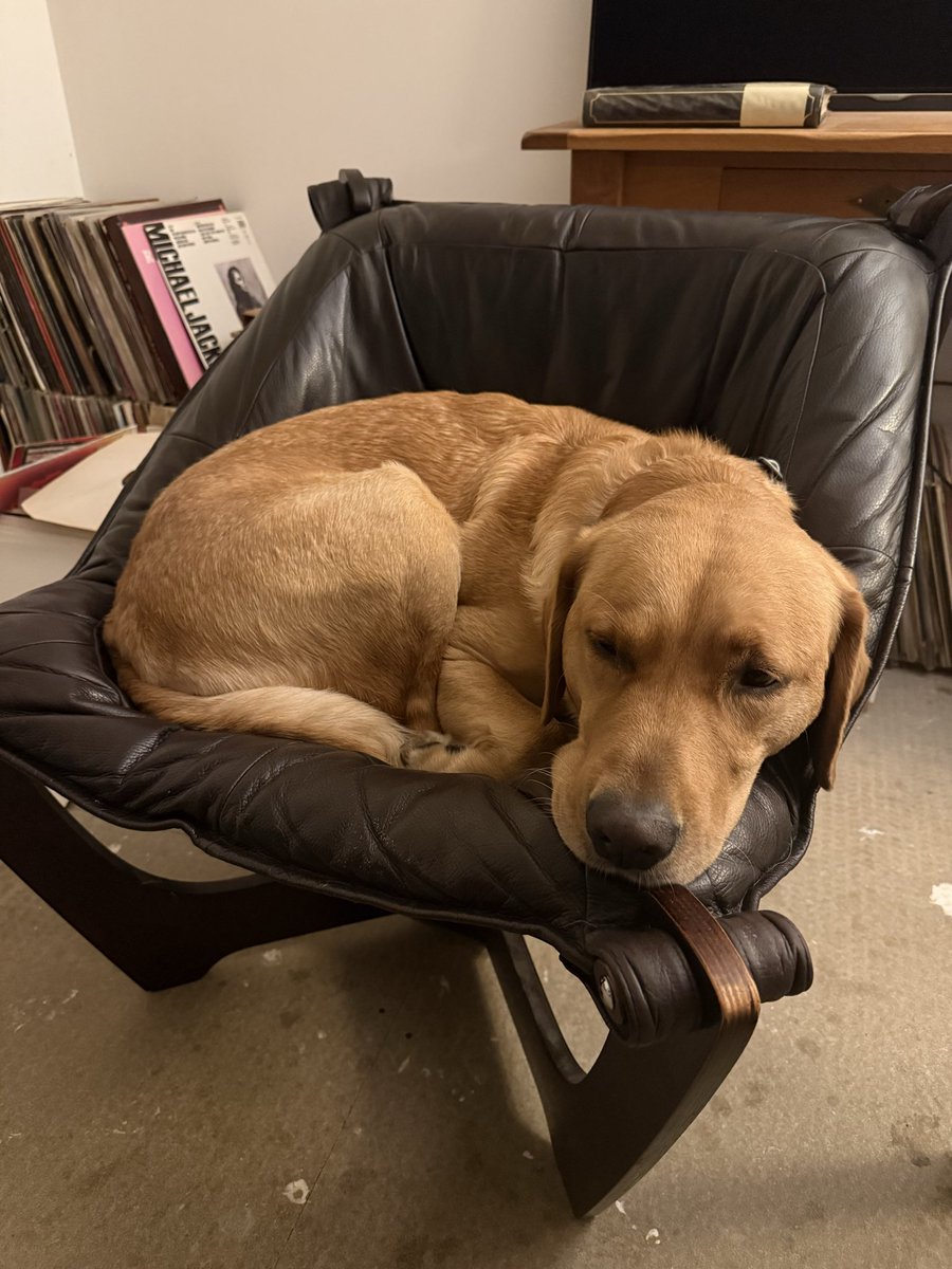 .ZKDID™ 🧠 tweet media