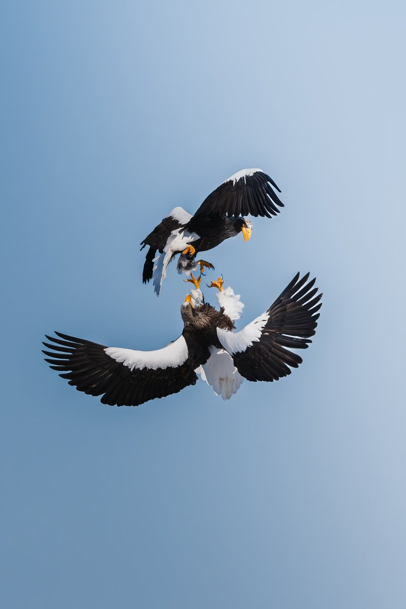 ミスログ tweet media