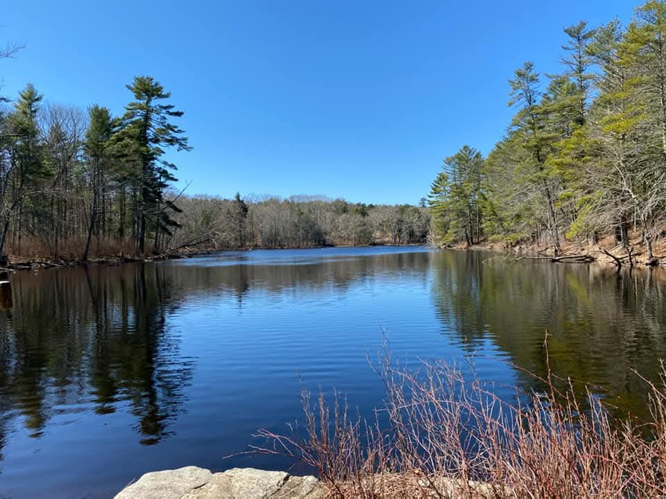 Tin Knocker tweet media