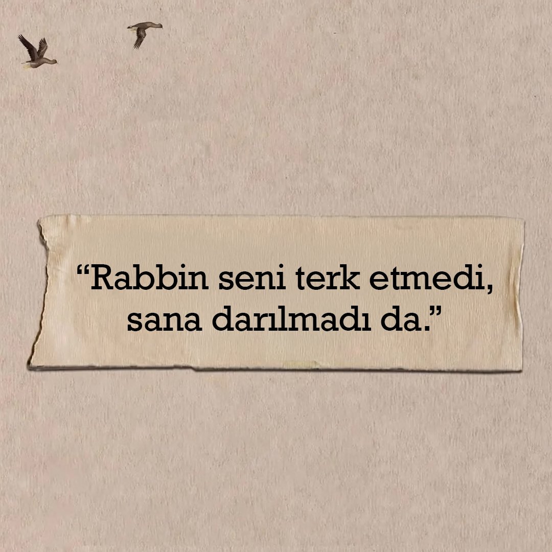 Hayalhanem tweet media