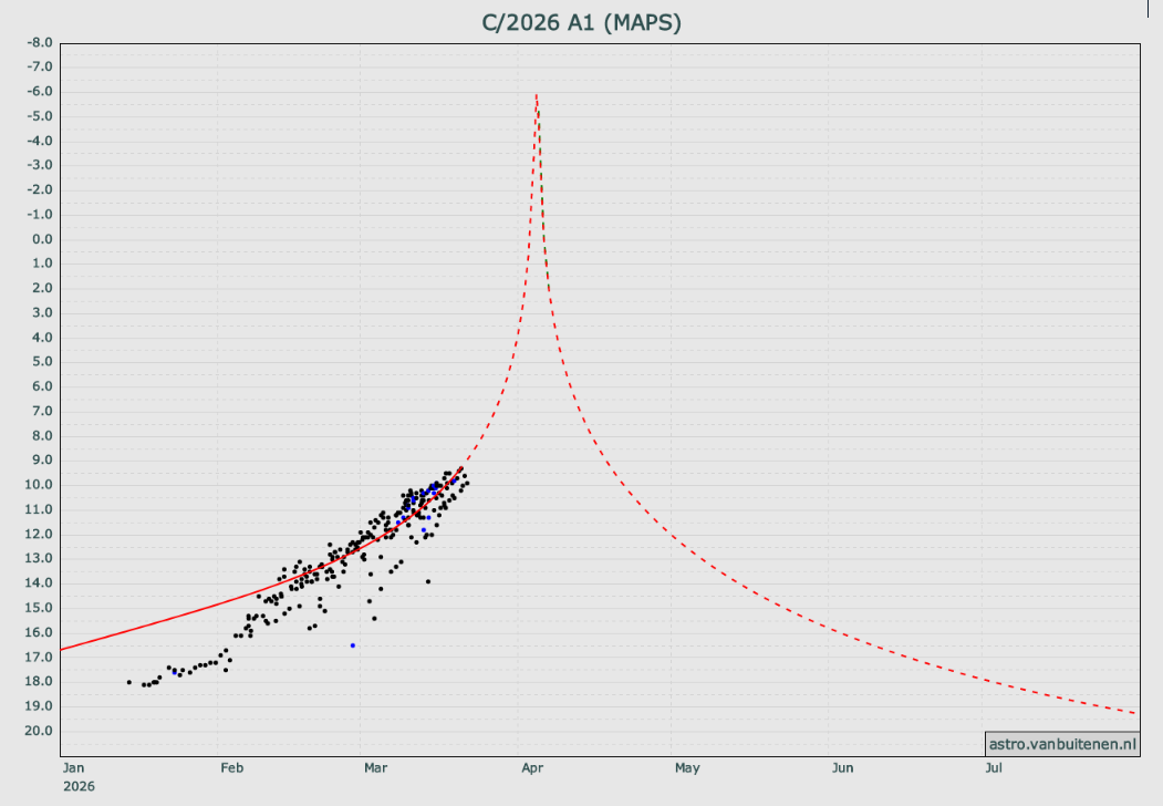 곰 아주머니 tweet media