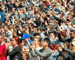 David Fitzjarrell 🟧💙 tweet media