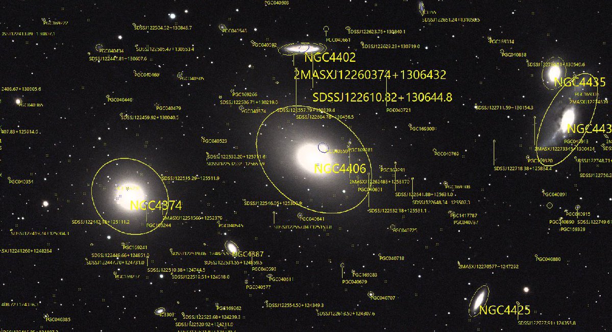 たるが tweet media