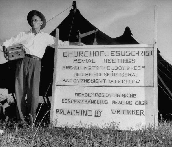 Buffalo Dan tweet media