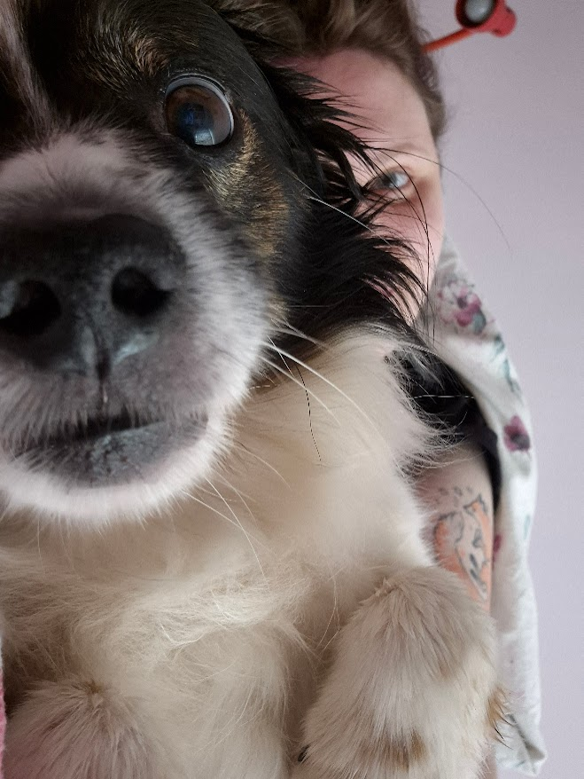 myle 🦥 loves ynbn tweet media