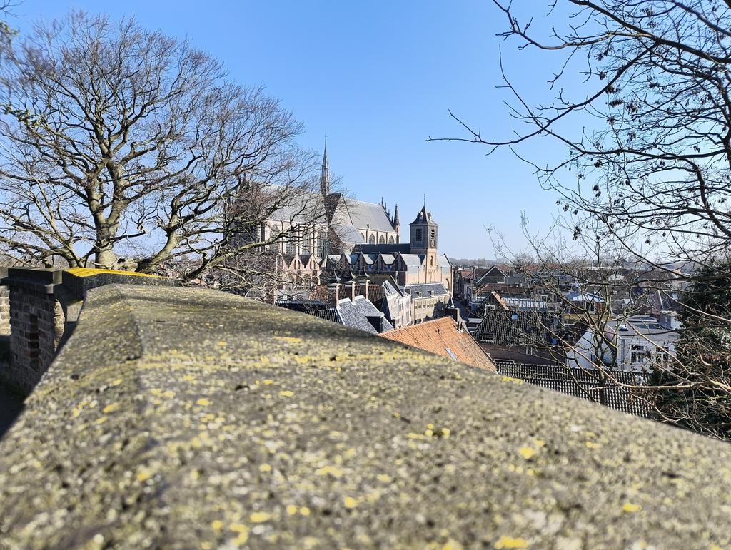 Moona 🦝🔪 VTuber tweet media