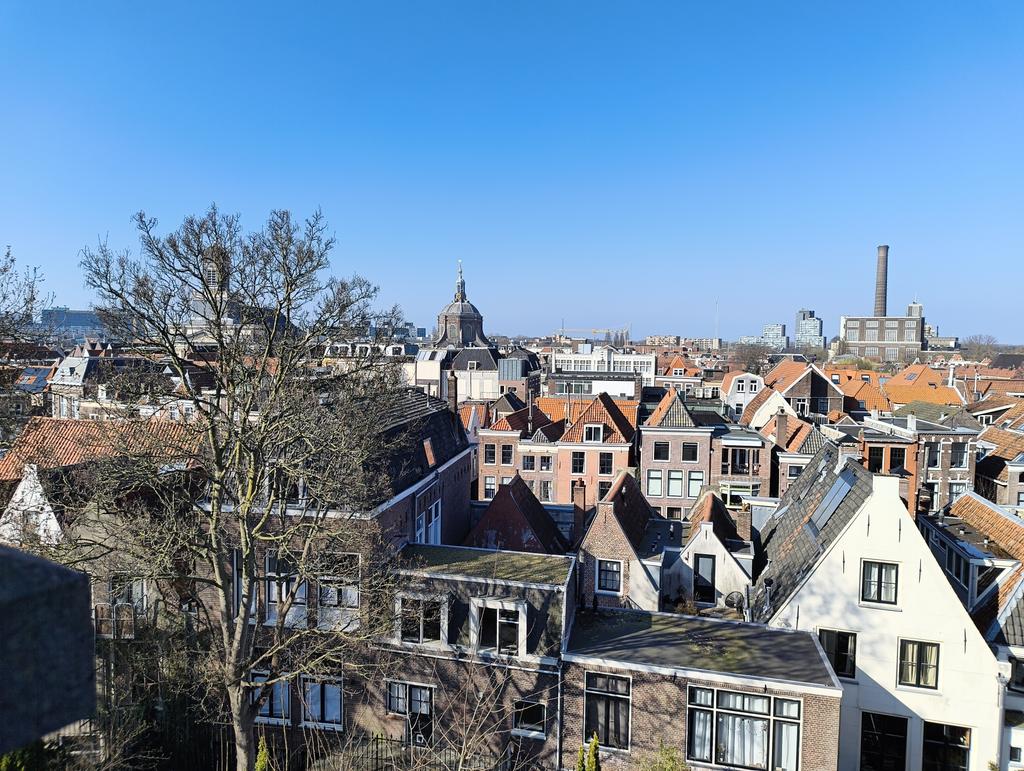 Moona 🦝🔪 VTuber tweet media