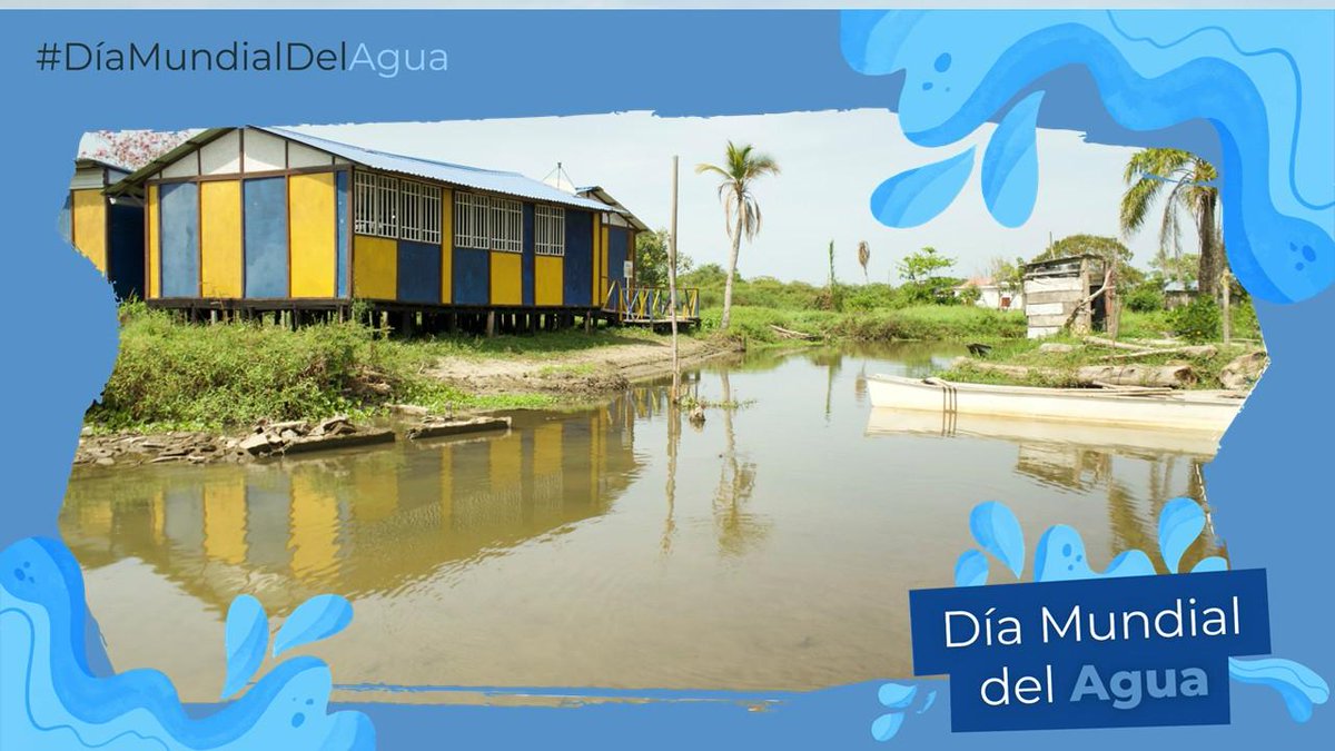 FAO_Colombia's tweet photo. 💧 En #DíaMundialDelAgua, un dato nos invita a reflexionar:
🌍 Más de 4.400 millones de personas aún no tienen acceso a agua potable segura.
Fortalecer la gobernanza del agua es clave para un futuro sostenible.
🔗: https://t.co/EbIehY9B7K
@MinAmbienteCo
#AguaVidaYGobernanza https://t.co/t4GlrQxGmS