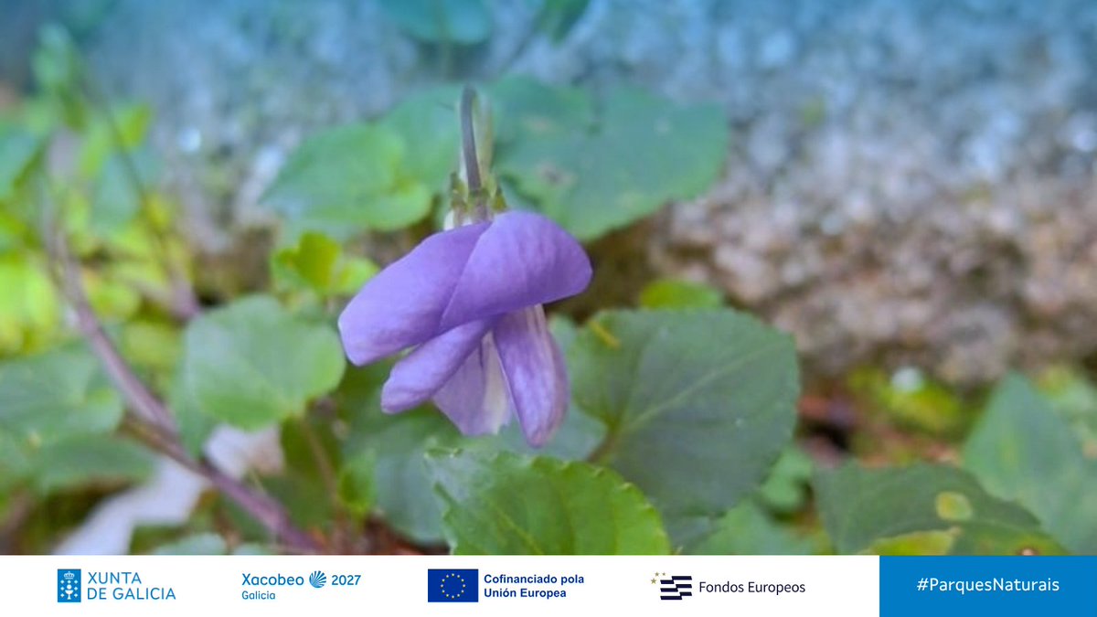 Medio Ambiente e Cambio Climático tweet media