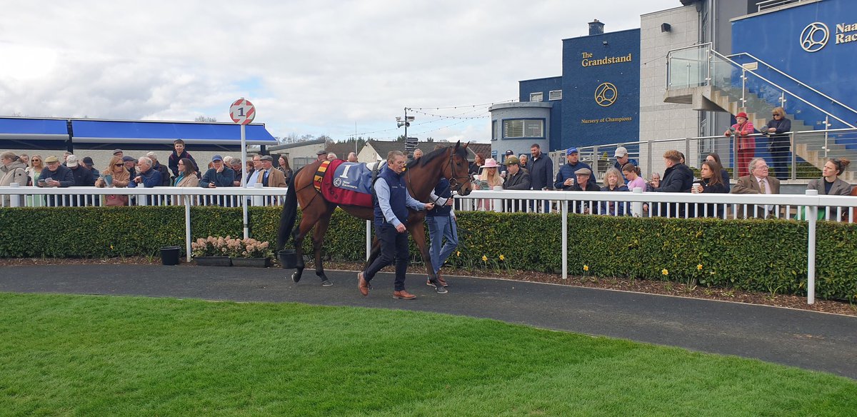 Ó hUallacháin tweet media