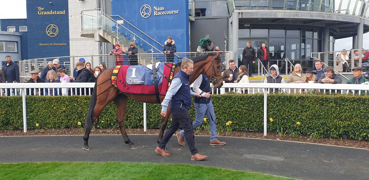 Ó hUallacháin tweet media