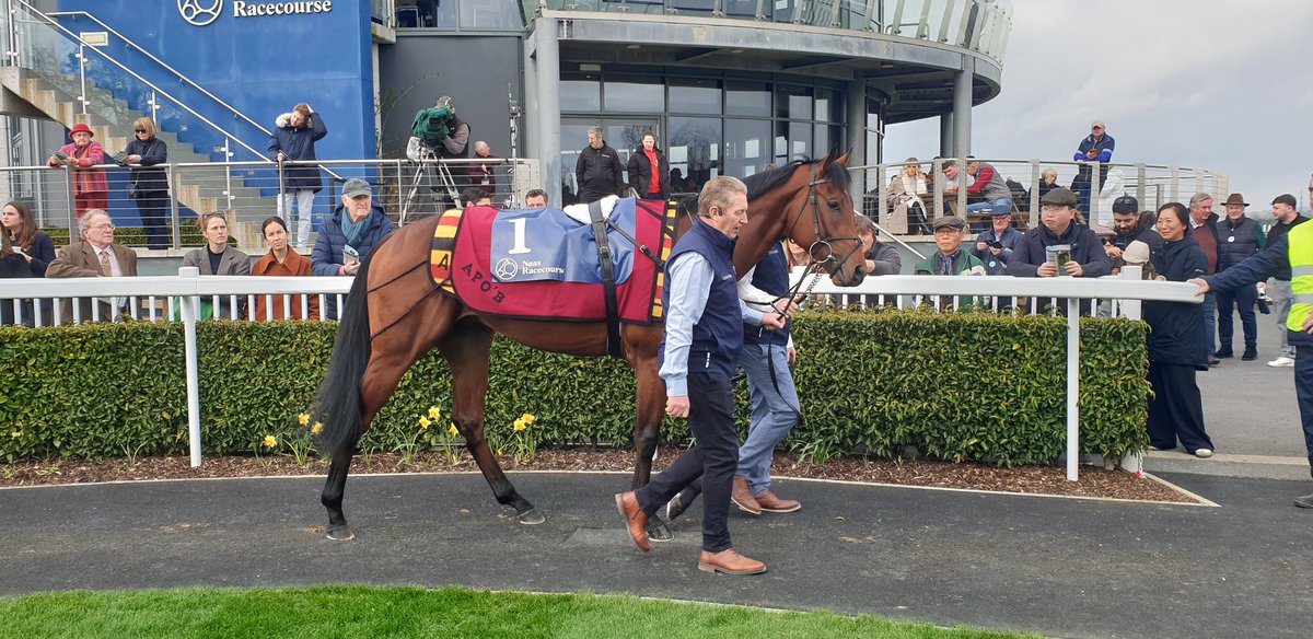 Ó hUallacháin tweet media